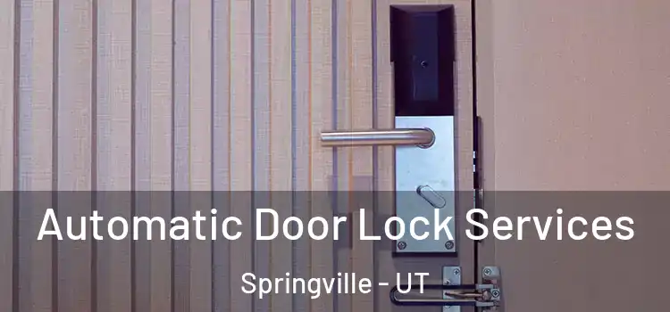 Automatic Door Lock Services Springville - UT