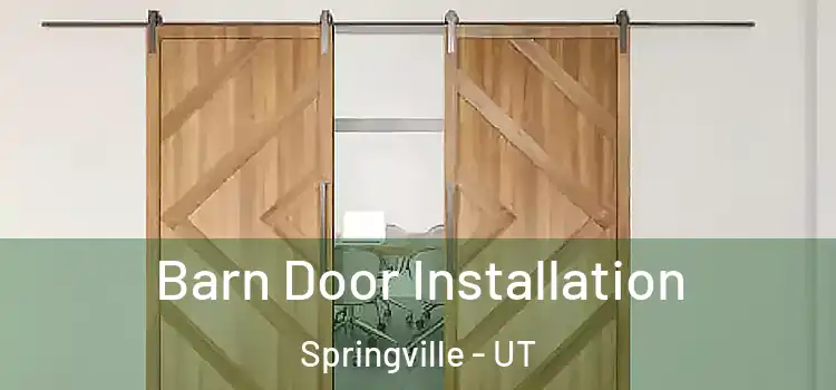 Barn Door Installation Springville - UT