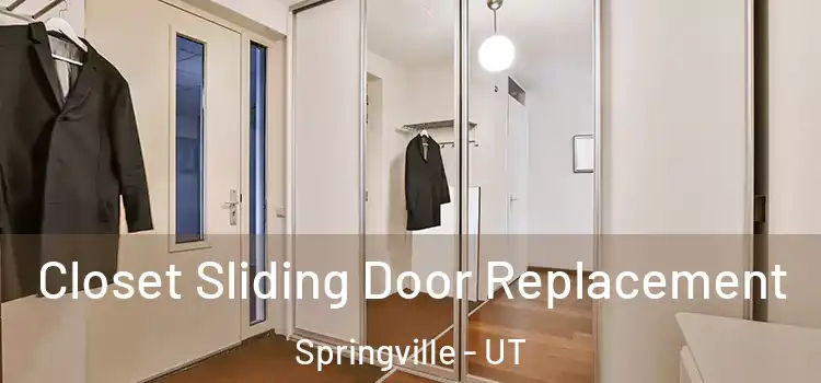  Closet Sliding Door Replacement Springville - UT