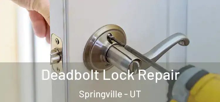  Deadbolt Lock Repair Springville - UT