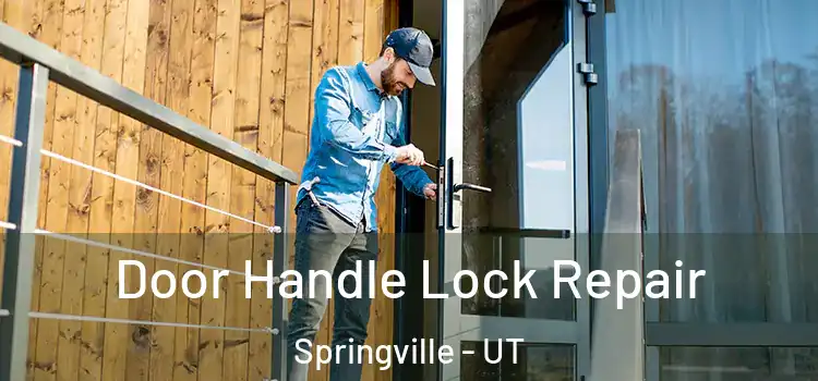 Door Handle Lock Repair Springville - UT