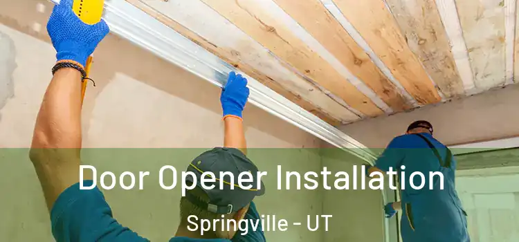  Door Opener Installation Springville - UT