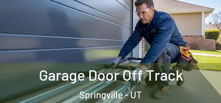  Garage Door Off Track Springville - UT