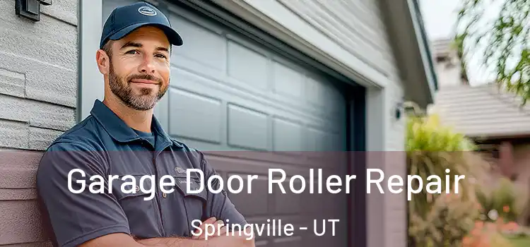  Garage Door Roller Repair Springville - UT
