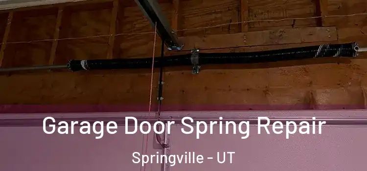 Garage Door Spring Repair Springville - UT