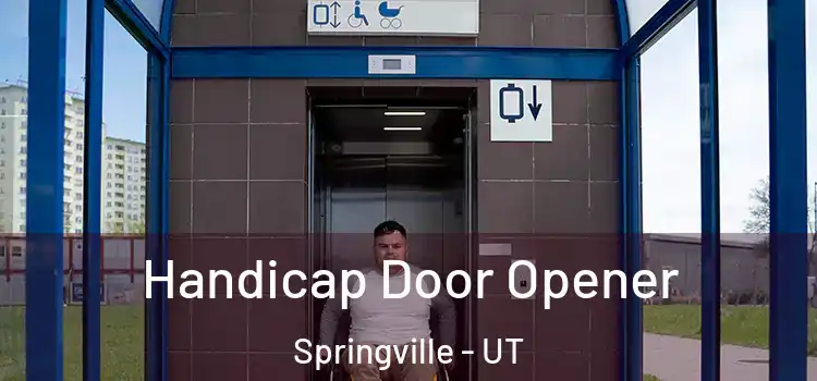  Handicap Door Opener Springville - UT