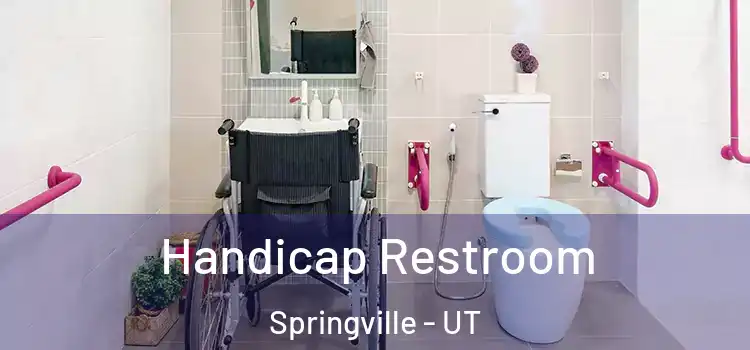  Handicap Restroom Springville - UT