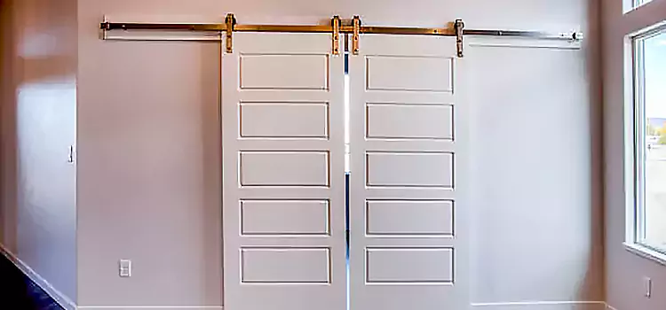Glass Barn Door with Installation Hardware Kit Springville