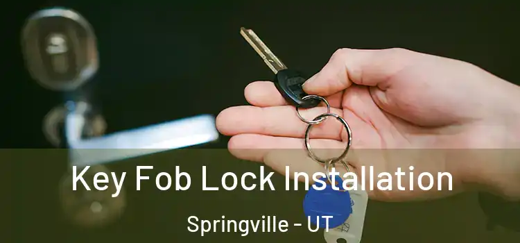  Key Fob Lock Installation Springville - UT