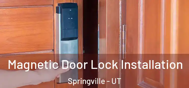  Magnetic Door Lock Installation Springville - UT