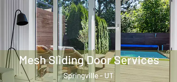  Mesh Sliding Door Services Springville - UT