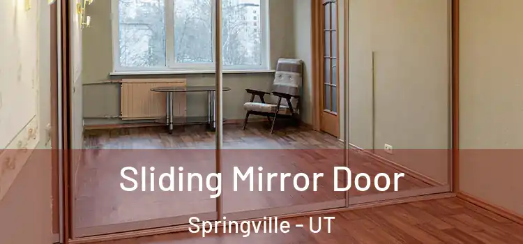  Sliding Mirror Door Springville - UT