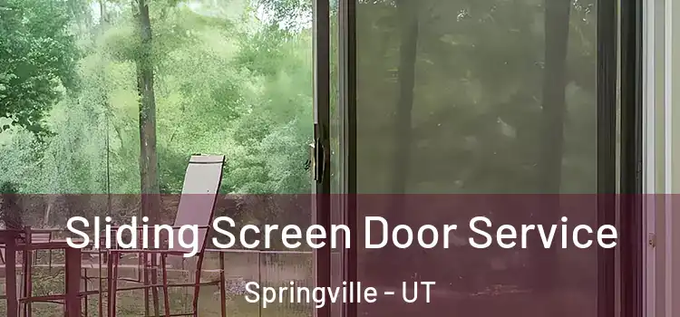  Sliding Screen Door Service Springville - UT