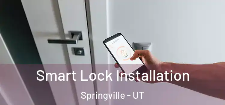 Smart Lock Installation Springville - UT